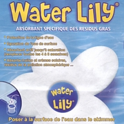 Photo WATER LILY (Fleur en tissus d�graissant)