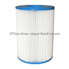 Cartouche HAYWARD C250 compatible