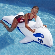 Photo Dauphin Gonflable