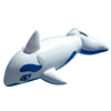 Dauphin Gonflable