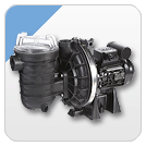 pompes-sta-rite-s5p2r-sel